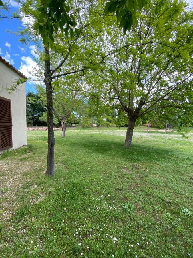 Villa Raffinee, Parc Cloture, 4000M2, Piscine 5X10 Blauzac  Exterior foto