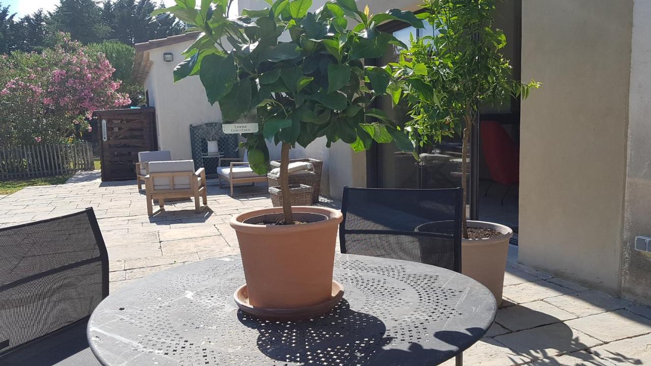 Villa Raffinee, Parc Cloture, 4000M2, Piscine 5X10 Blauzac  Exterior foto